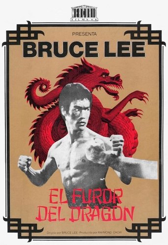 Cartel de El furor del dragón