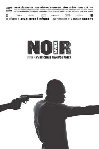 Cartel de NOIR