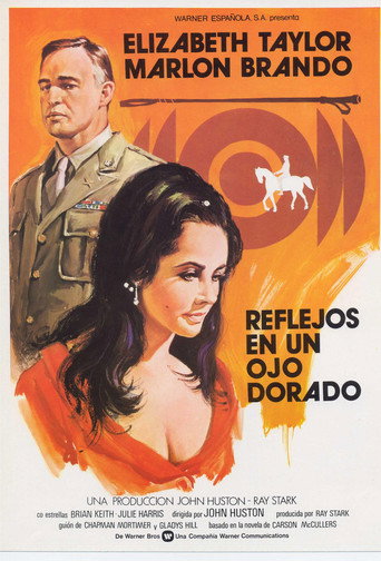 Cartel de Reflejos en un ojo dorado