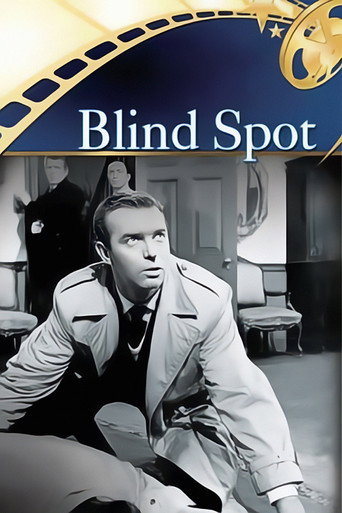 Cartel de Blind Spot