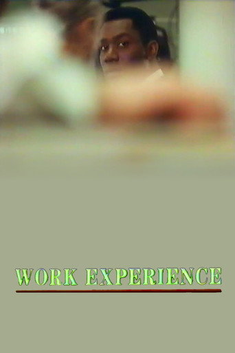 Cartel de Work Experience