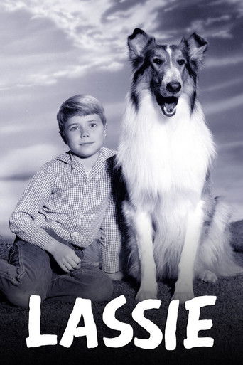 Cartel de Lassie