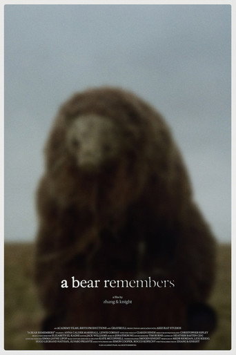 Cartel de Un oso recuerda