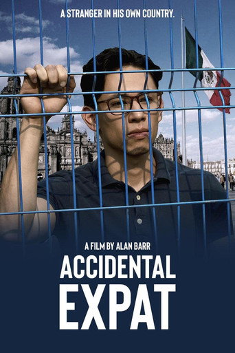 Cartel de Accidental Expat