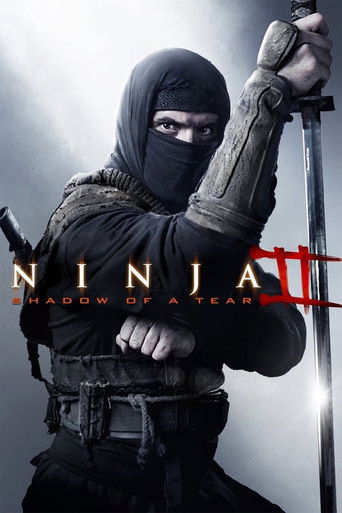 Cartel de Ninja 2: La sombra de la muerte