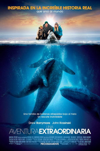 Cartel de Una aventura extraordinaria