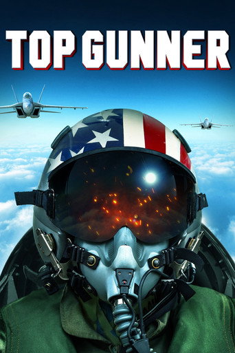 Cartel de Top Gunner