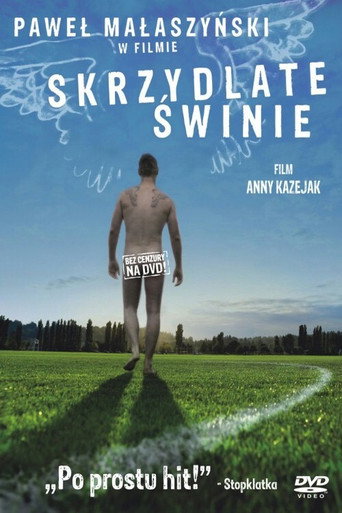 Cartel de Skrzydlate świnie