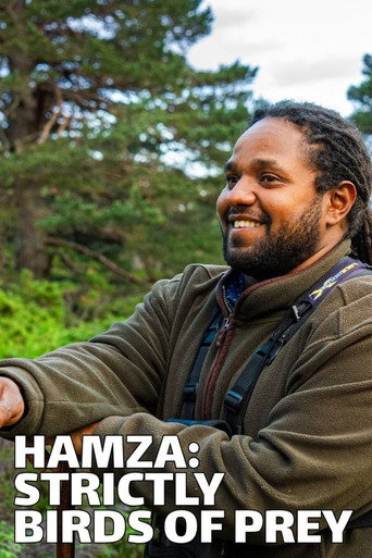 Cartel de Hamza: Strictly Birds of Prey