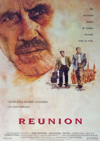 Cartel de El reencuentro del amigo