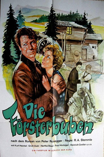 Cartel de Die Försterbuben