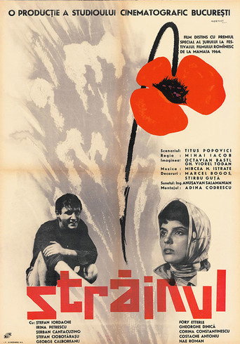 Cartel de Străinul