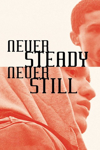 Cartel de Never Steady, Never Still