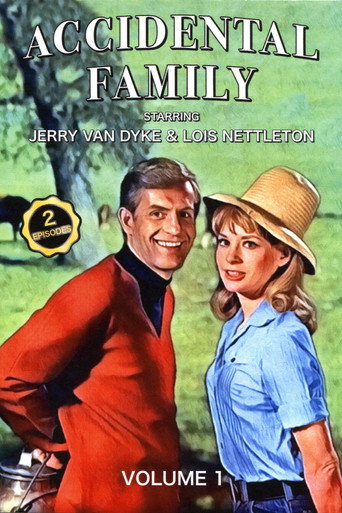 Cartel de Accidental Family