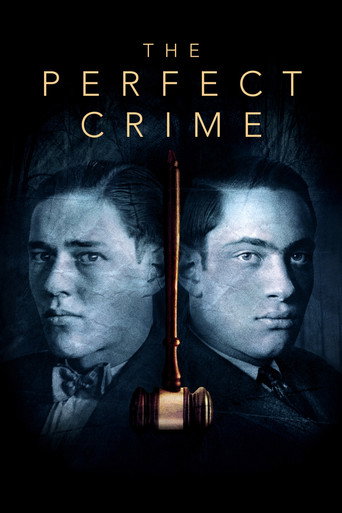 Cartel de The Perfect Crime: Leopold & Loeb