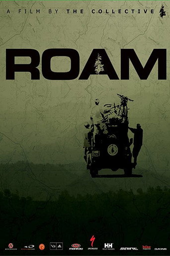 Cartel de Roam