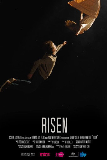 Cartel de Risen