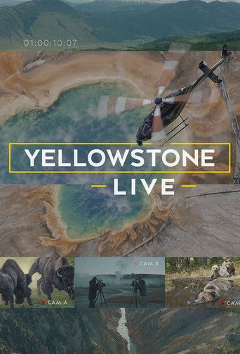 Cartel de Yellowstone Live