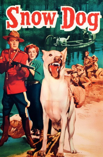 Cartel de Snow Dog