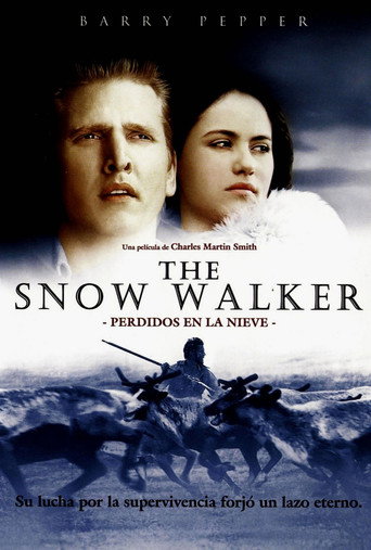 Cartel de Perdidos en la nieve