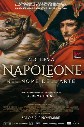 Cartel de Napoleón: En el nombre del arte