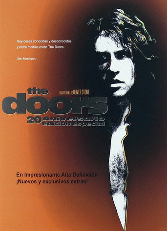 Cartel de The Doors