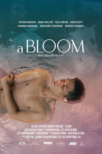 Cartel de A Bloom