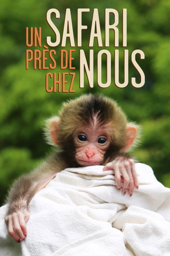 Cartel de Un safari près de chez nous