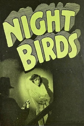 Cartel de Night Birds