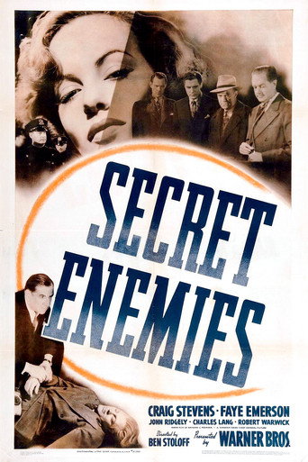 Cartel de Secret Enemies