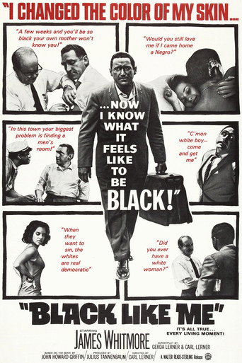 Cartel de Black Like Me