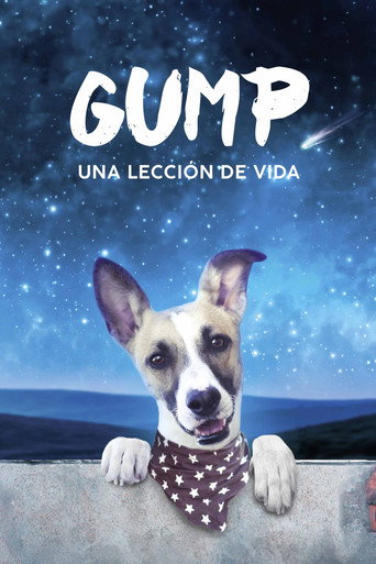 Cartel de Gump - Una Lección de Vida
