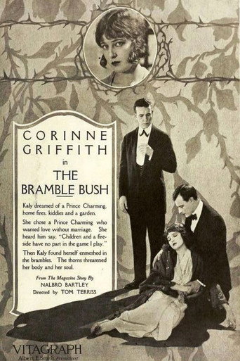 Cartel de The Bramble Bush