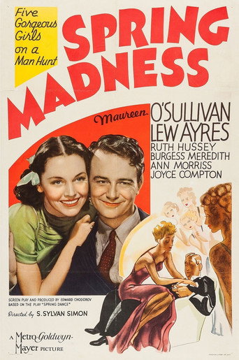 Cartel de Spring Madness