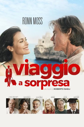 Cartel de Viaggio a sorpresa