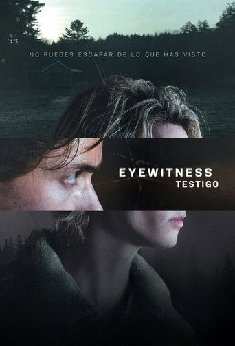 Cartel de Eyewitness