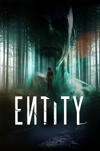 Cartel de Entity