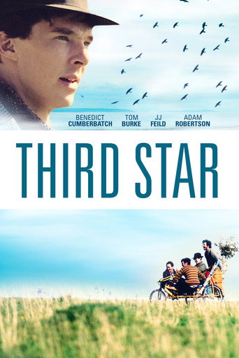 Cartel de Third Star