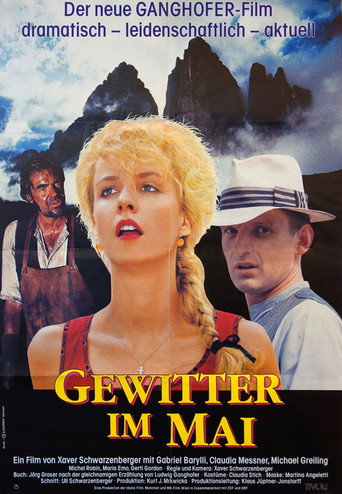 Cartel de Gewitter im Mai