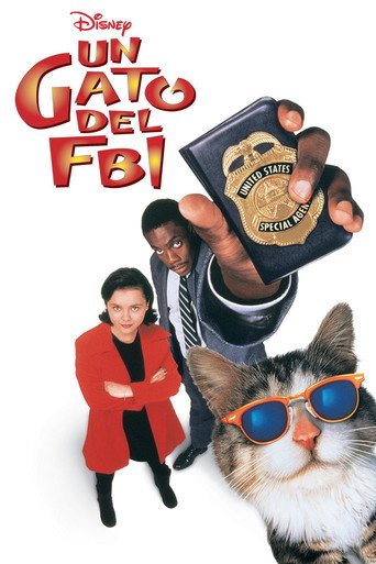 Cartel de Un gato del FBI