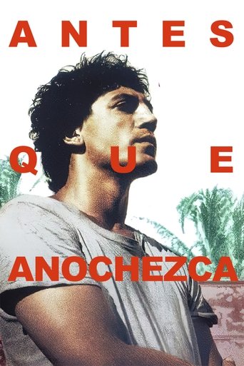 Cartel de Antes que anochezca