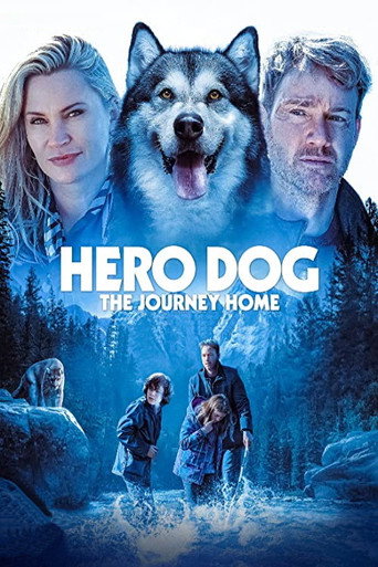Cartel de Hero Dog: The Journey Home