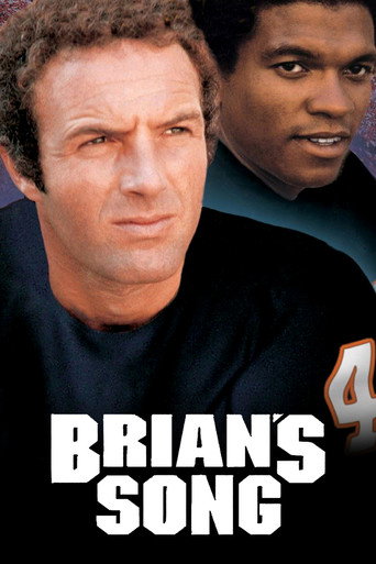 Cartel de Brian's Song