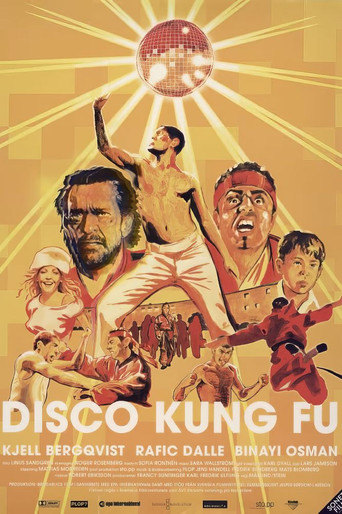 Cartel de Disco Kung Fu