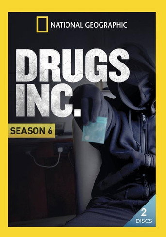 Temporada 6