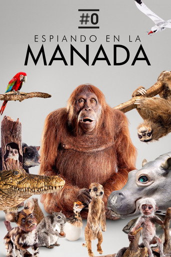 Cartel de Espiando en la manada