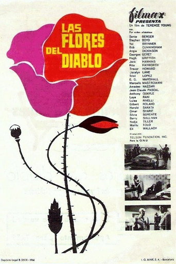 Cartel de Las flores del diablo