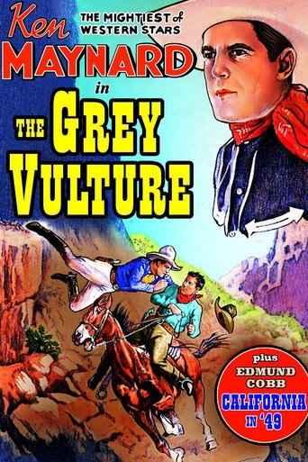 Cartel de The Grey Vulture