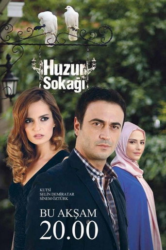 Cartel de Huzur Sokağı