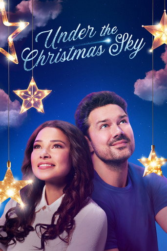 Cartel de Under the Christmas Sky